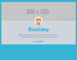 Preview Bootstrap Html Snippet. Blog User Profile